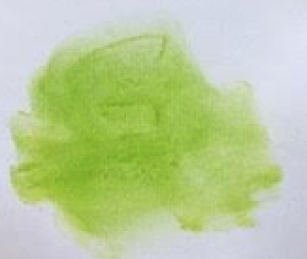 Νο. 231 - ξηρό παστέλ l'ecu Sennelier Chromium green